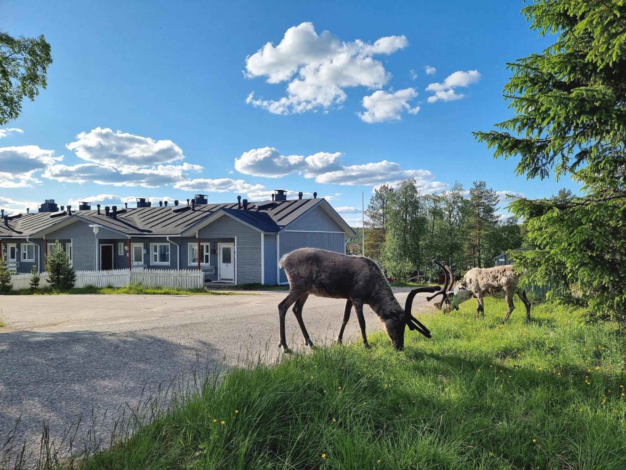 Kuukkeli Apartments Suite Saariselkä Exteriör bild