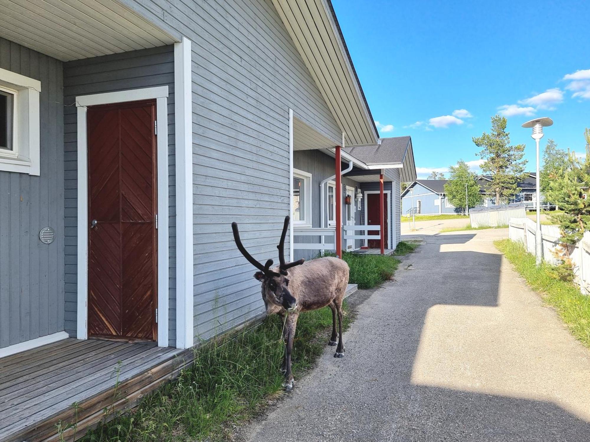 Kuukkeli Apartments Suite Saariselkä Exteriör bild