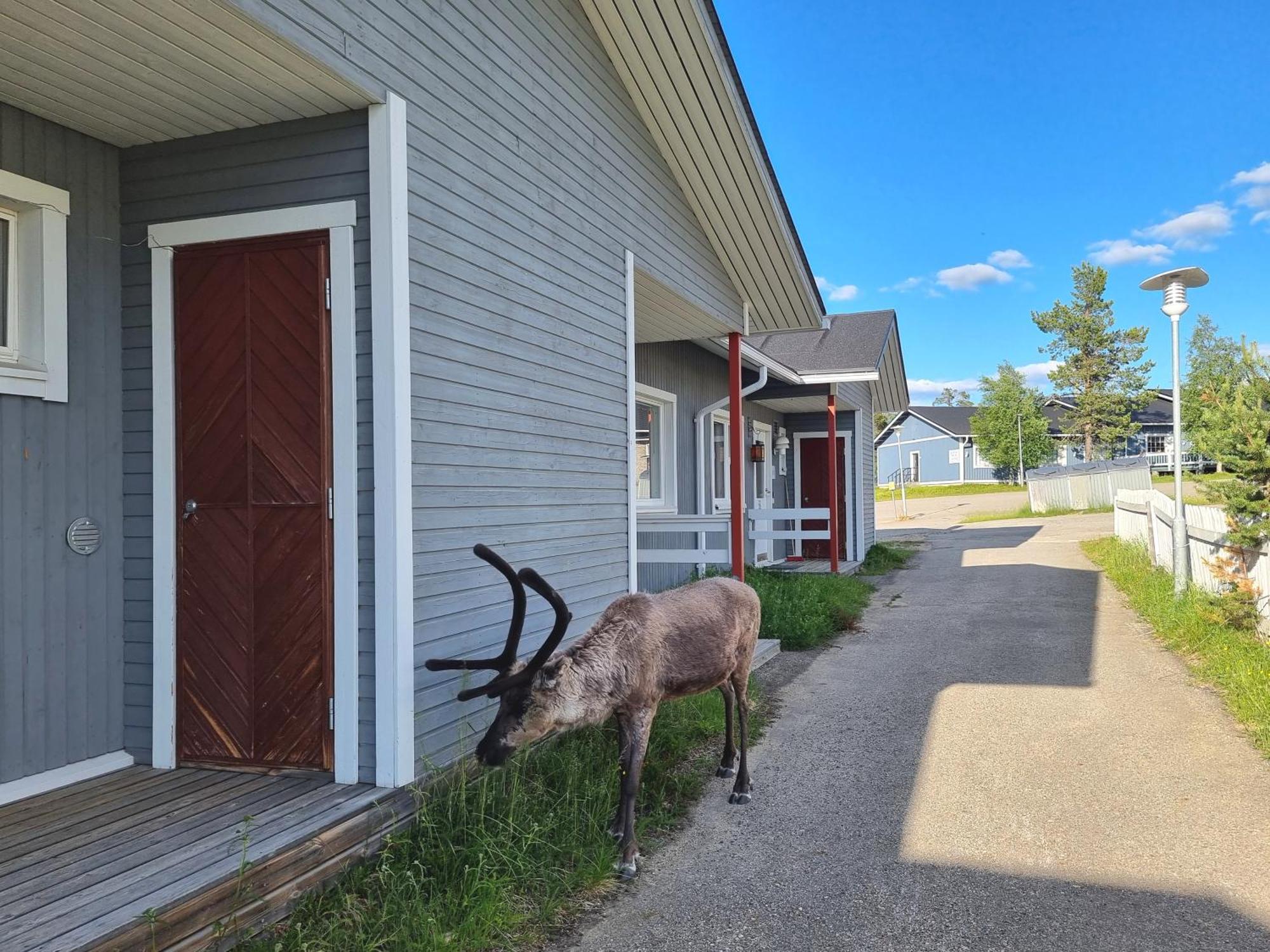 Kuukkeli Apartments Suite Saariselkä Exteriör bild