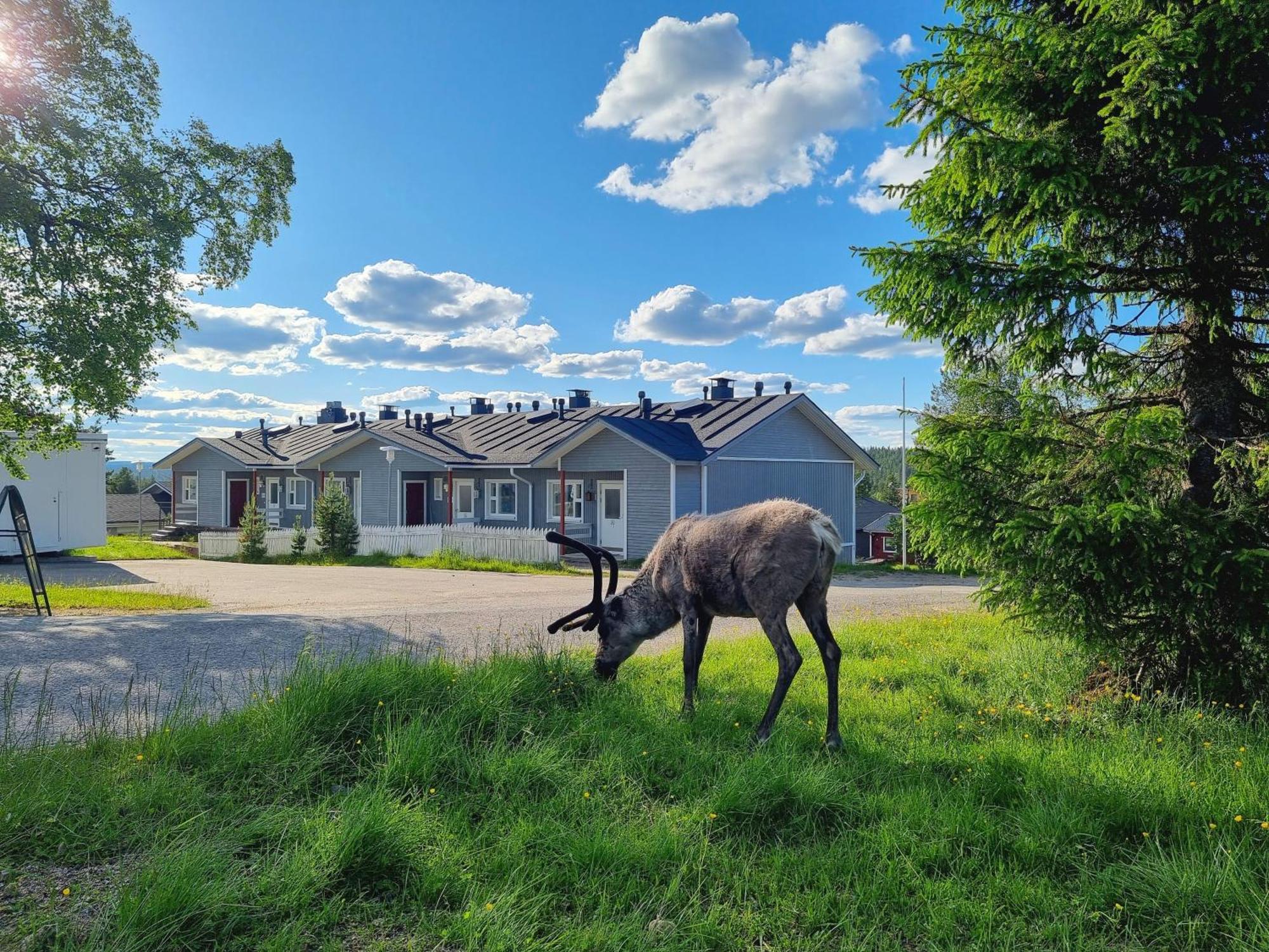 Kuukkeli Apartments Suite Saariselkä Exteriör bild