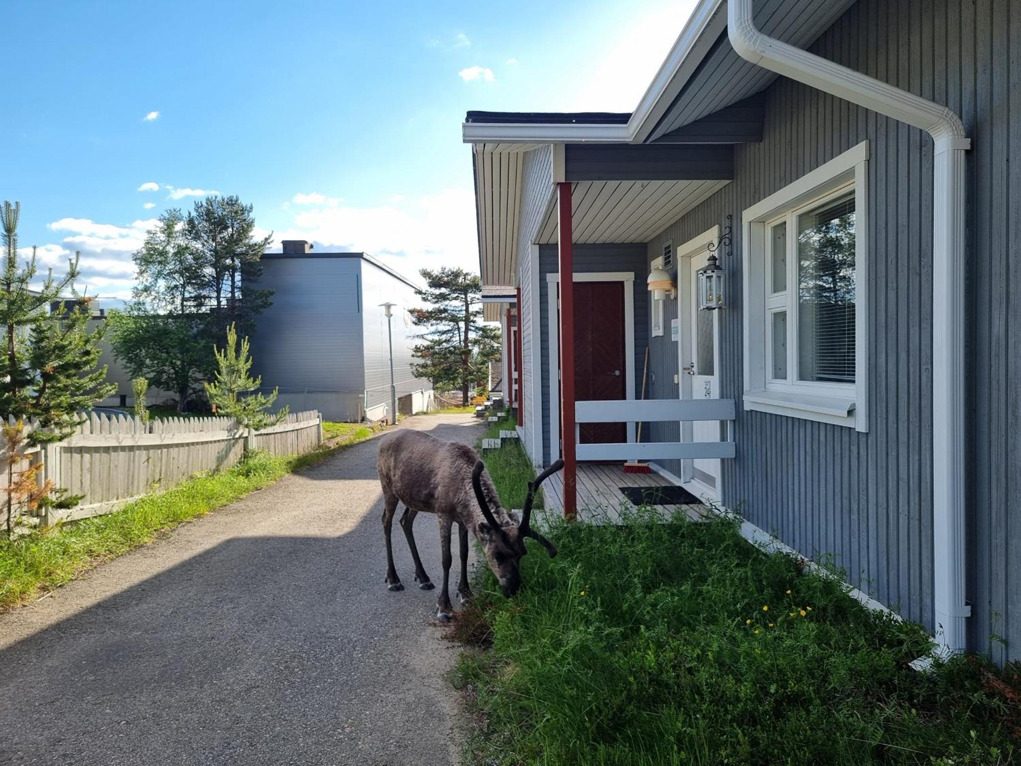 Kuukkeli Apartments Suite Saariselkä Exteriör bild